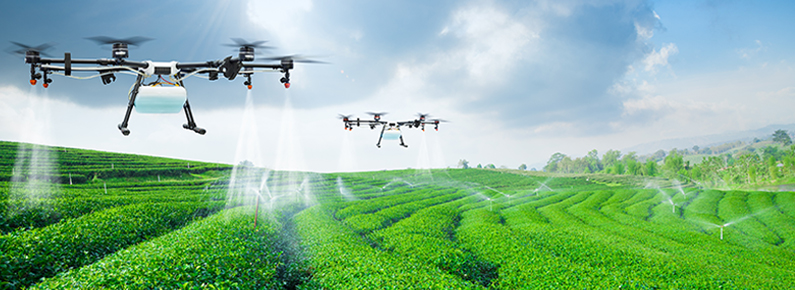 Agricoltura 4.0 nell’era della Digital Transformation